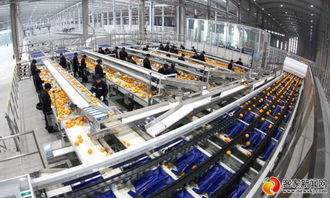 農夫山泉信豐工廠竣工投產，打造技術驅動新標桿，預計年銷售額達4.5億元